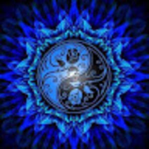 Meet your Posher, Sheila